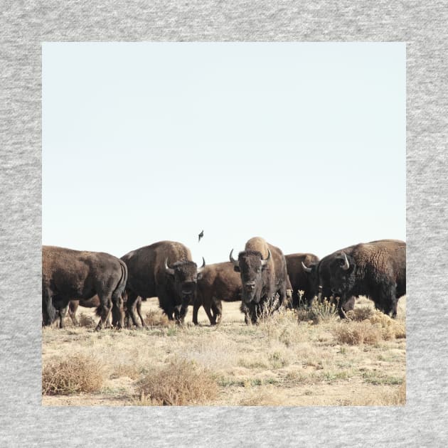 American Buffalo Bison by Tees_N_Stuff